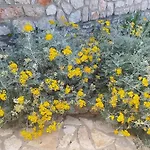 Appartamento Strandhaus Lady - Bain- Zut - Kornati By Interhome