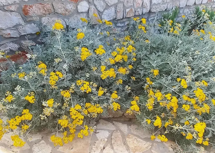 Apartmán Strandhaus Lady - Bain- Zut - Kornati By Interhome